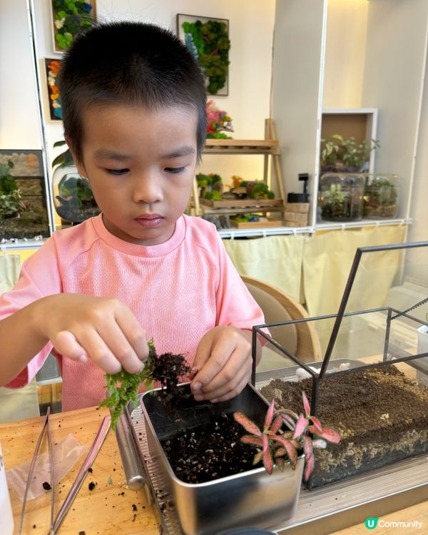 🌵親子工作坊🪴