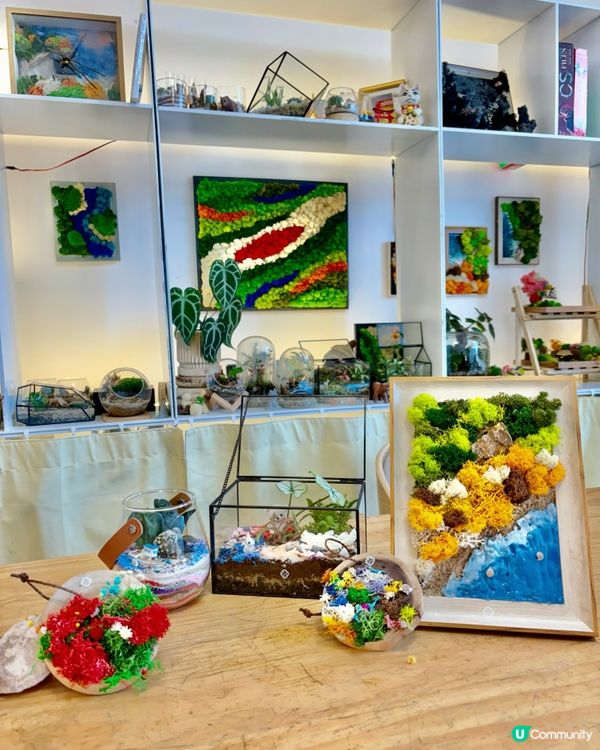 🌵親子工作坊🪴