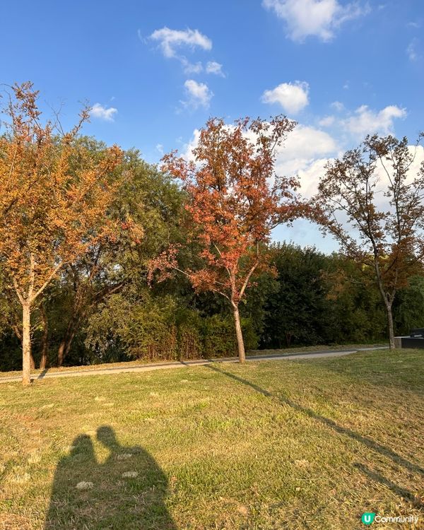 #首爾8日打卡之旅