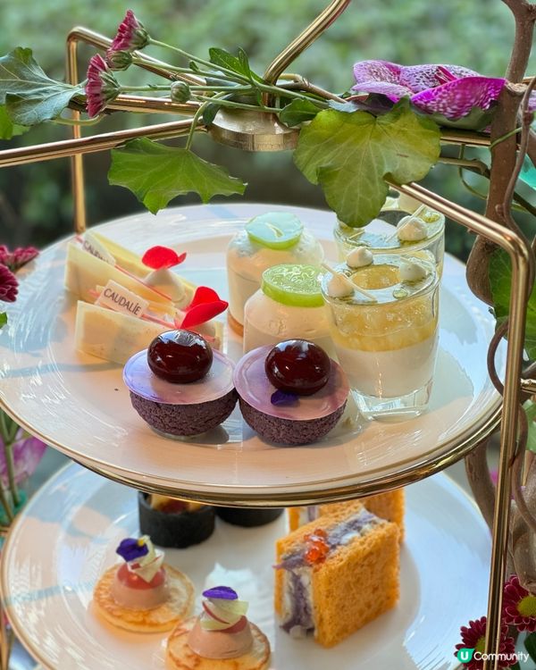 紫魅葡萄下午茶🍇👑  港麗酒店樂聚廊，美肌之旅！