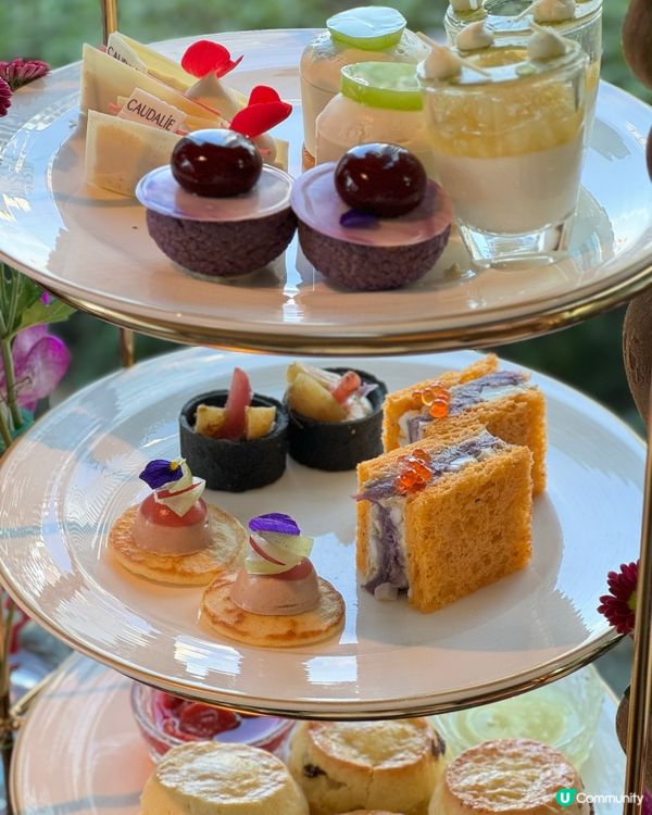 紫魅葡萄下午茶🍇👑  港麗酒店樂聚廊，美肌之旅！