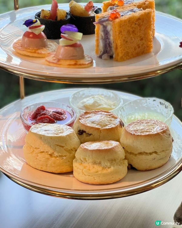 紫魅葡萄下午茶🍇👑  港麗酒店樂聚廊，美肌之旅！