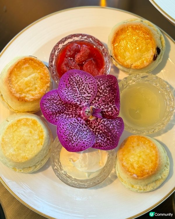 紫魅葡萄下午茶🍇👑  港麗酒店樂聚廊，美肌之旅！