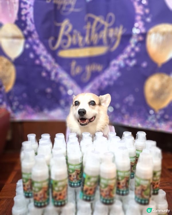 Pet Pet Premier 寵物神仙粉