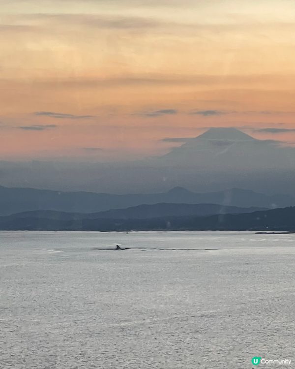 🇯🇵遊日必去景點🤩 江之島睇日落