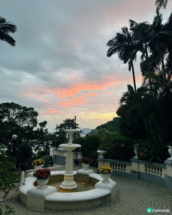  【淺水灣 ✦ 🎥復古風浪漫露台餐廳📸💕】