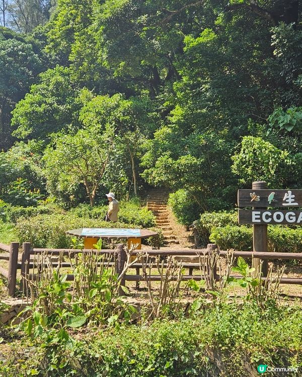 河背、雷公田，水塘連走