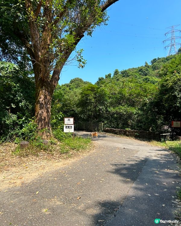 河背、雷公田，水塘連走