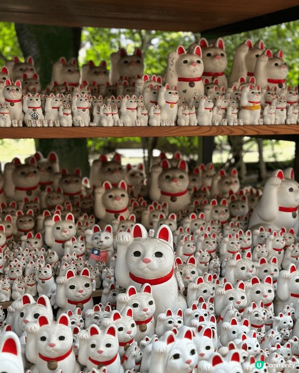 位於東京的豪德寺，是喜愛招財貓人士不能錯過的景點，絕對是你們...