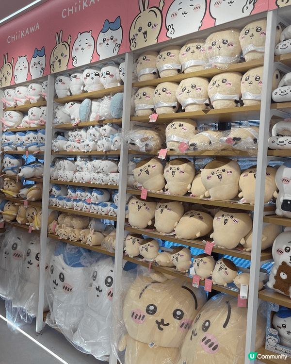 而家最hit ge嘅嘢一定係chiikawa! 所以一定要去...