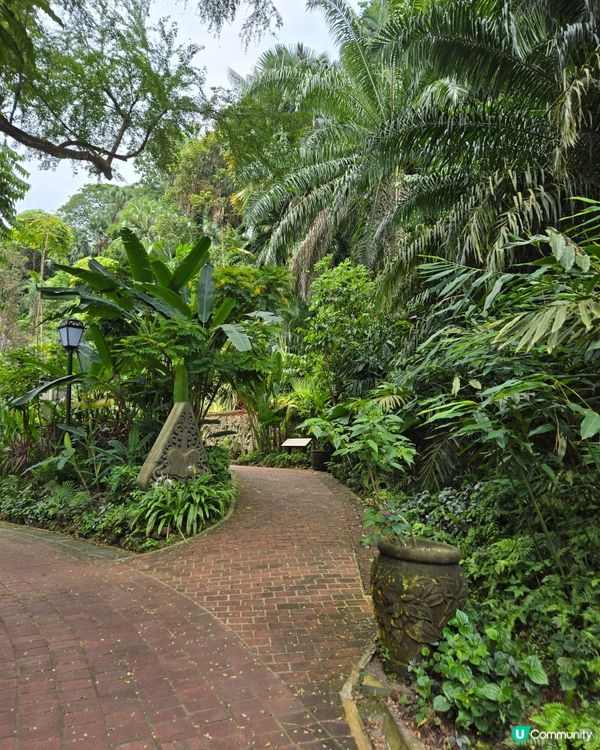 新加坡篇：充滿打卡點的福康寧公園