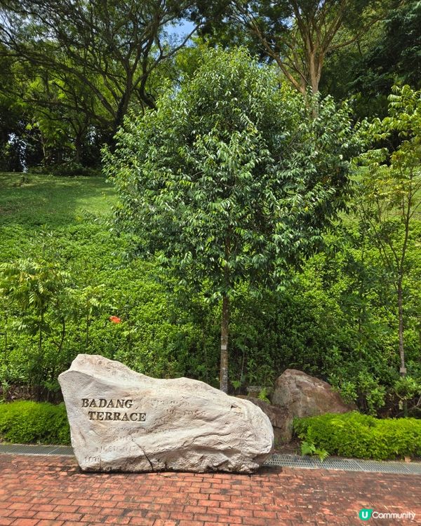 新加坡篇：充滿打卡點的福康寧公園