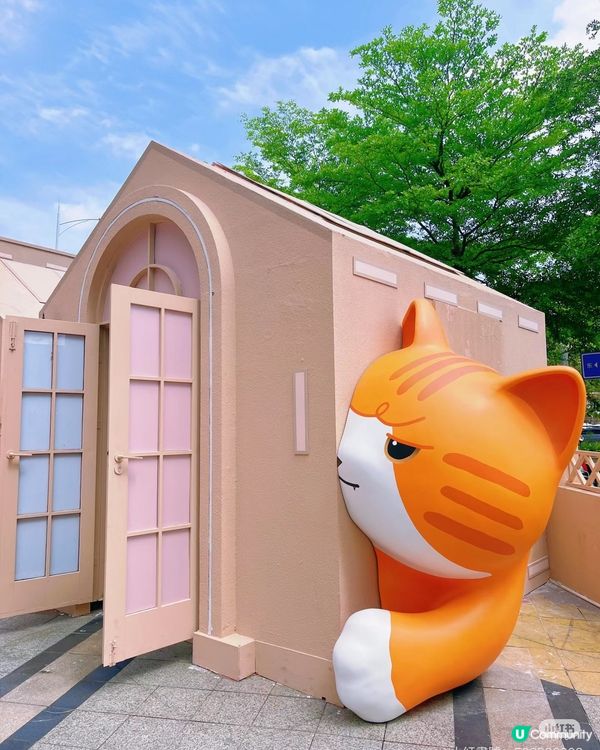 快來啊，我們一起躲貓貓。