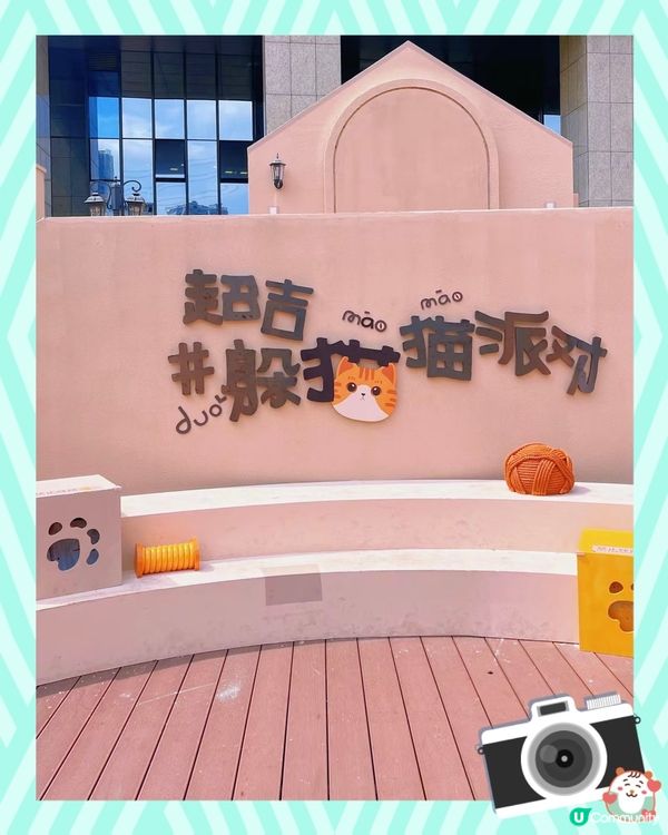 快來啊，我們一起躲貓貓。