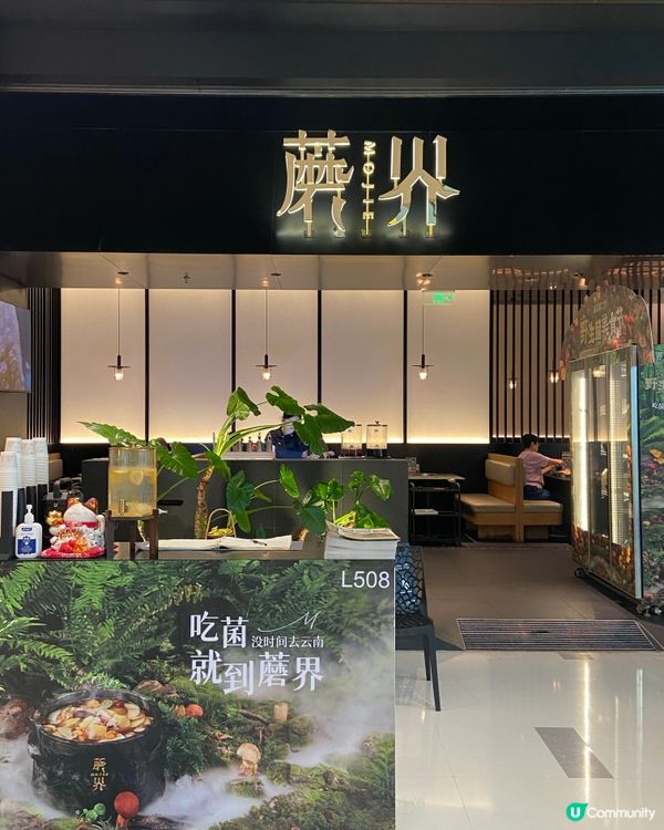 菇菌控必食🤤深圳高質雲南火鍋🍄‍🟫🍄