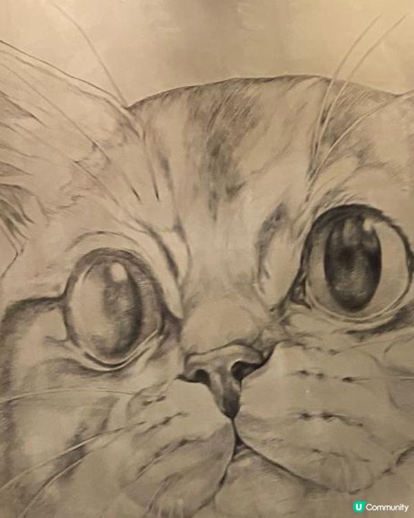 觀塘Cafe^_^🎂🎉