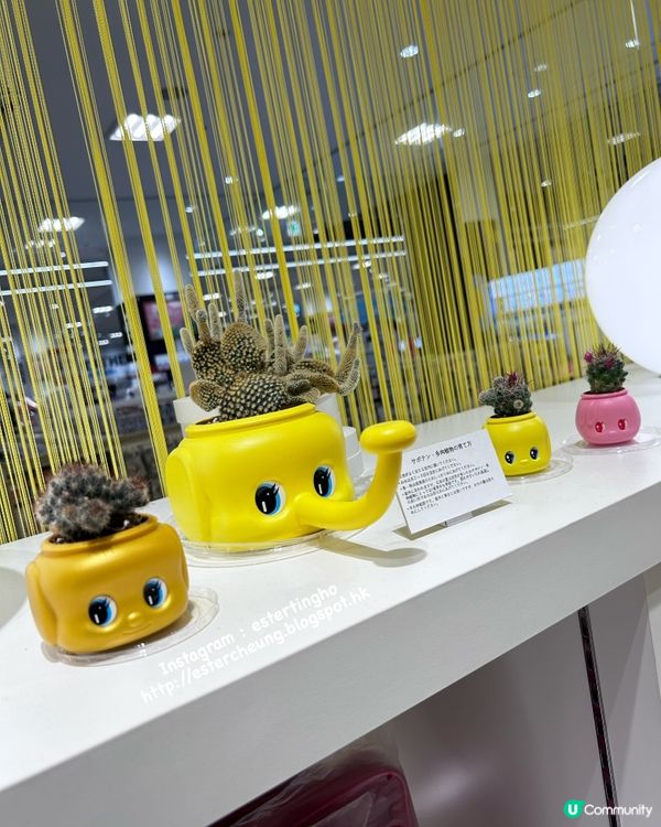 必食 💕 自選瓶子。自己唧。漿糊仔雪糕 🍦