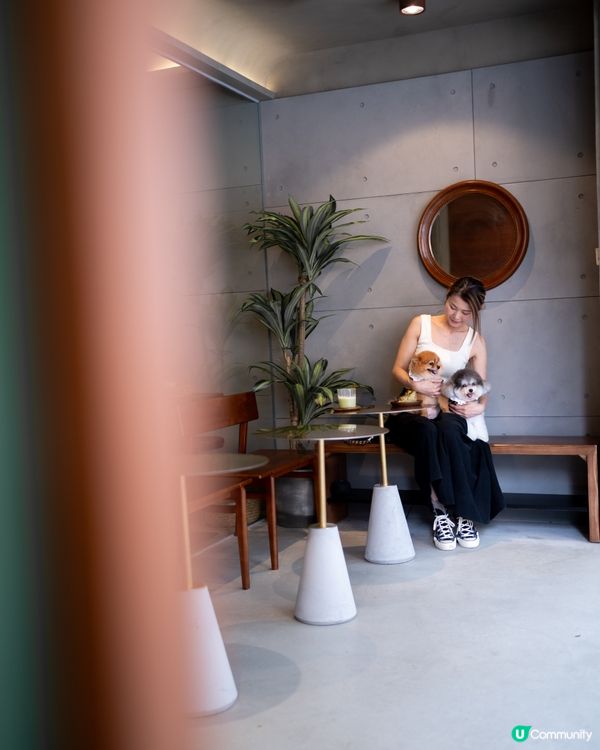 新開✨佐敦Cafe｜性價比極高🤎可以帶寵物