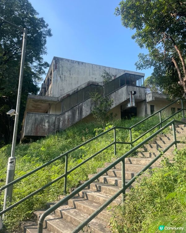 ✨🌟國際十字路會