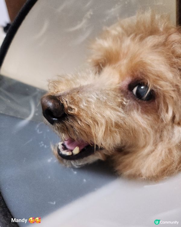 洗完白白同🐽仔玩南瓜波波