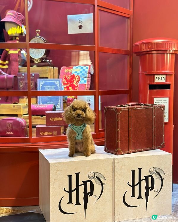 各位麻瓜們 準備好學魔法未啊？