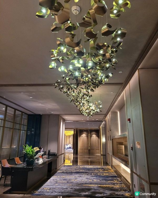 《環迴深圳》深圳頂級中菜廳(內含短片) @ 天瑞軒 ( 深圳博林天瑞喜來登酒店 )