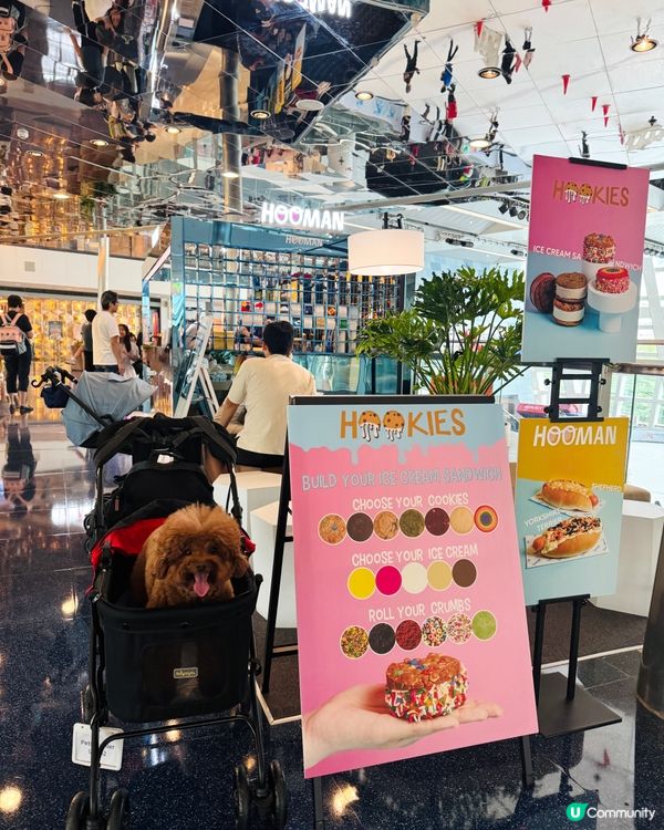 🐶🌭獨特熱狗配繽紛甜品，仲係寵物友善！