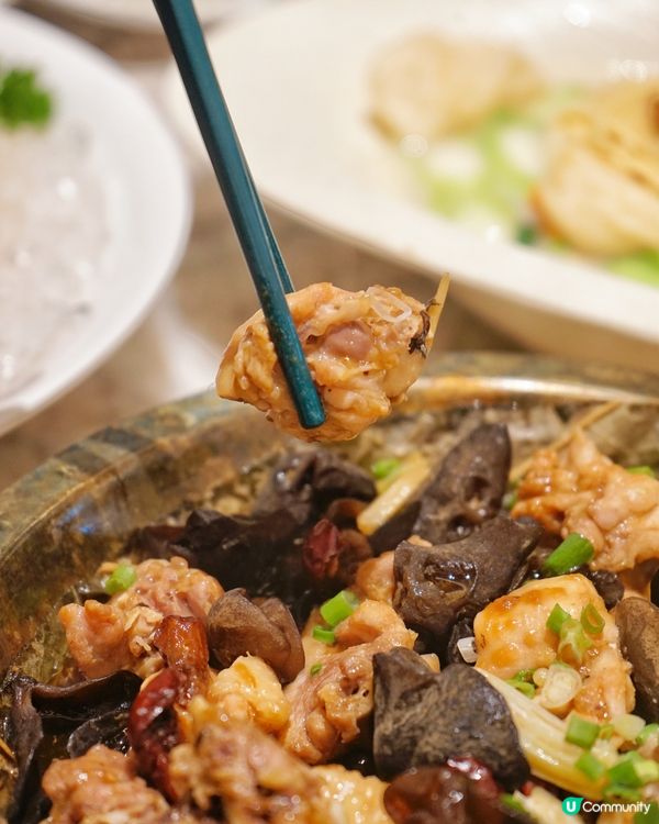 圍方嘆精緻粵菜 🥢 上陽樓皇帝御膳 👑