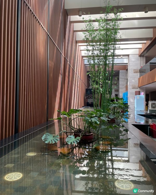 深圳性價比超高的海景酒店