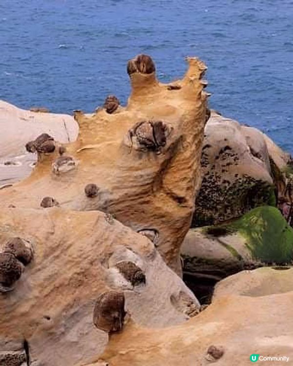 ## 平島女王頭同款海蝕地，打卡新景點！🌊