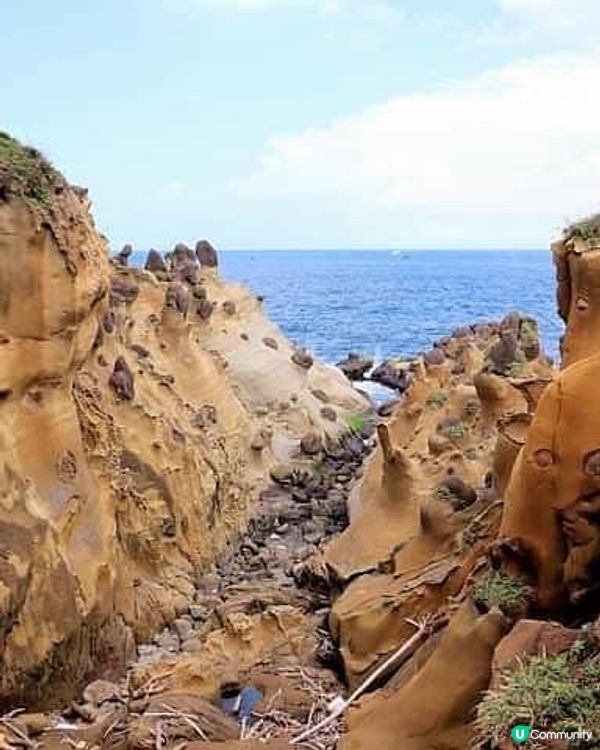 ## 平島女王頭同款海蝕地，打卡新景點！🌊