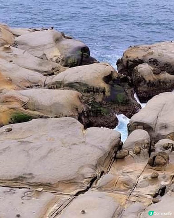 ## 平島女王頭同款海蝕地，打卡新景點！🌊