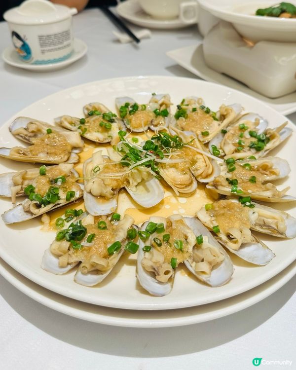 必食招牌菜蟶子