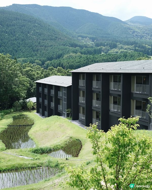 🇯🇵 界由布院 chill chill 浸溫泉 ♨️