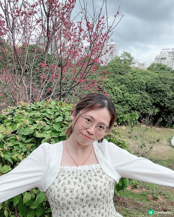 蓮花山公園🌸🌸🌸 放假去打卡📸📸📸