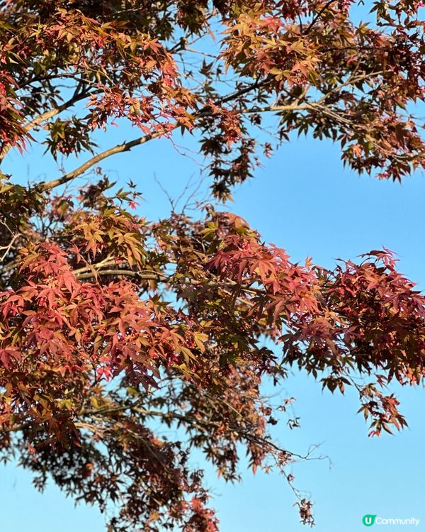 大阪睇日落之選