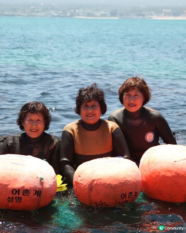 🇰🇷濟洲 白帶魚海鮮鍋 海女三姊妹