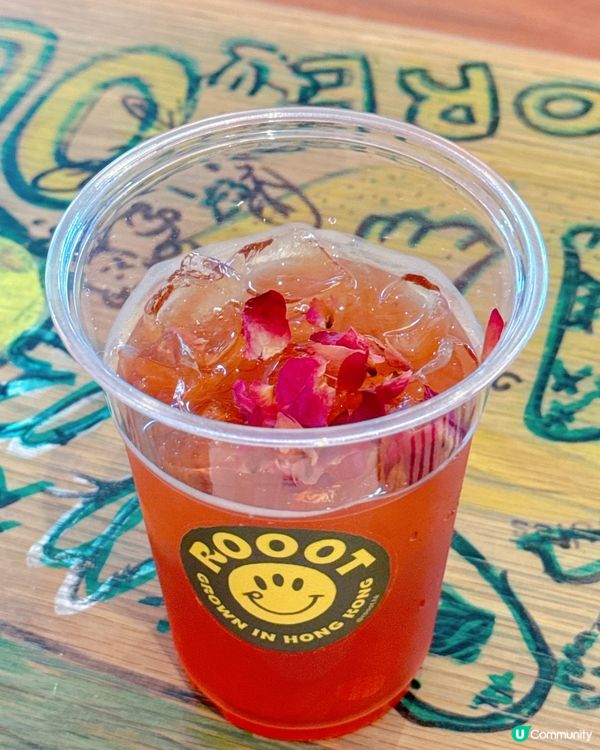 ## 澳門新玩法！🧘‍♀️ 心靈之旅出發啦！