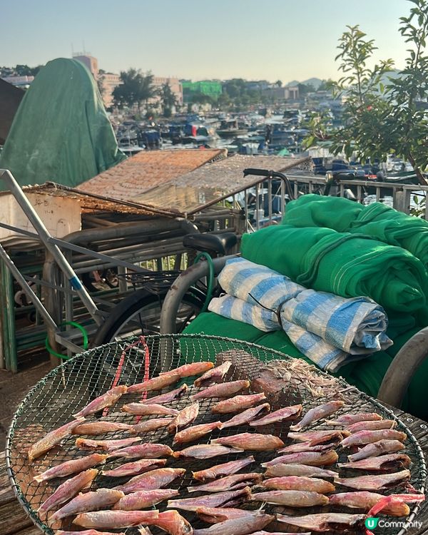 ## 香港必去🌊長洲半日遊，秋風送爽🍂