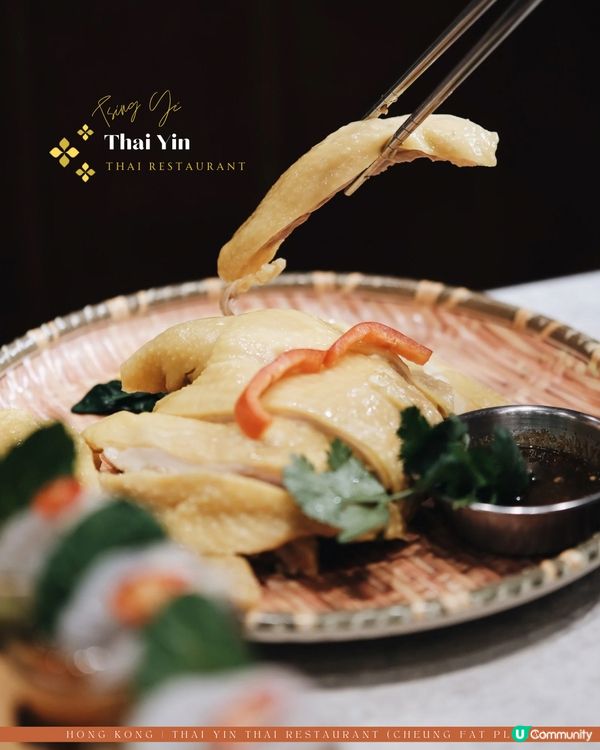 青衣泰菜來了🧡