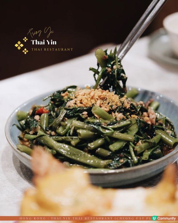 青衣泰菜來了🧡