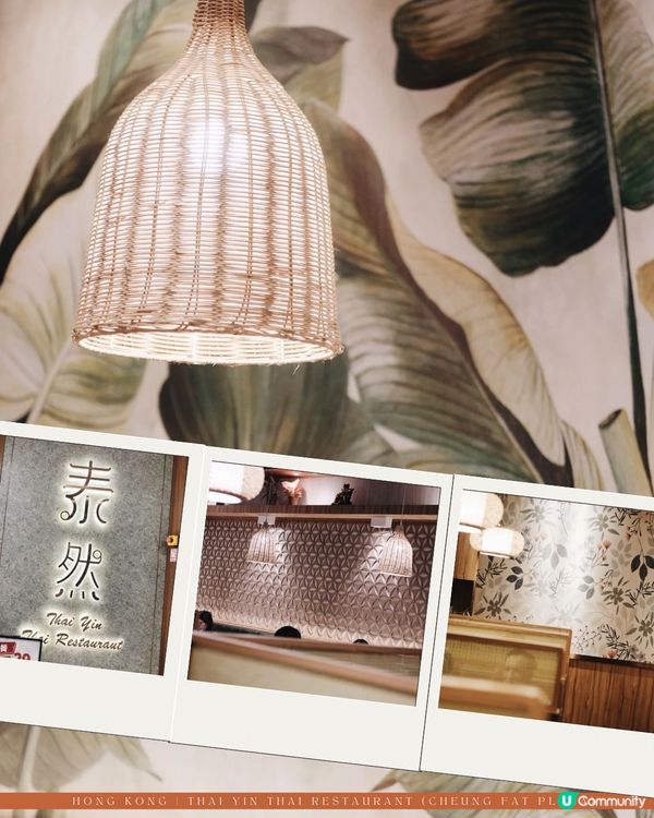 青衣泰菜來了🧡