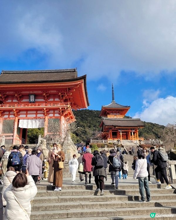 宇治京都景點重點推介✔️
