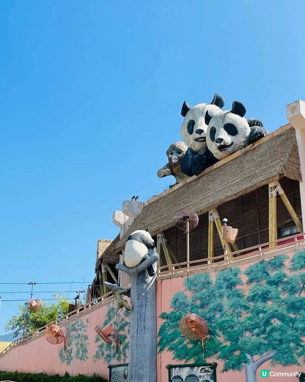 ✨海洋公園熊貓館