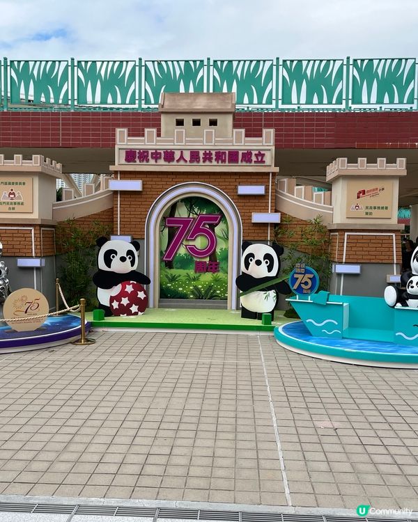 香港熊貓熱潮🔥