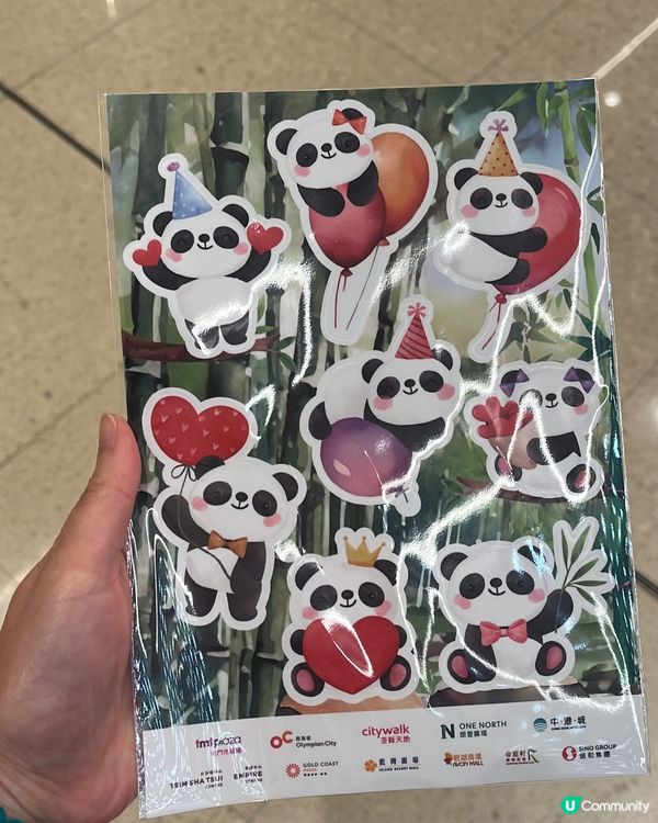 香港熊貓熱潮🔥