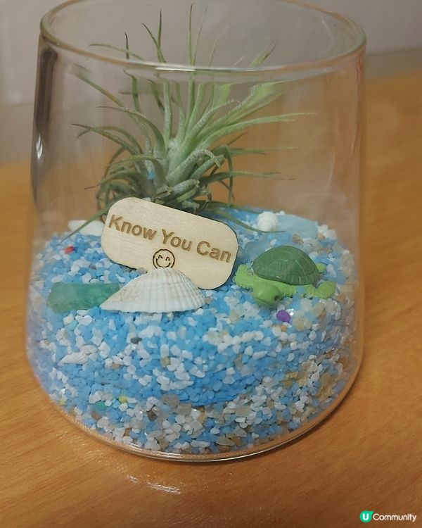 周末一家庭娛樂好去處