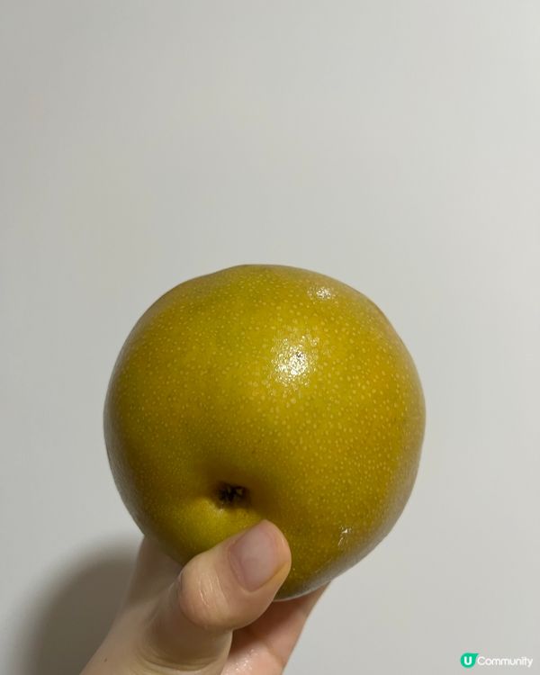 朝早食隻韓國大雪梨🍐解解油膩🥰