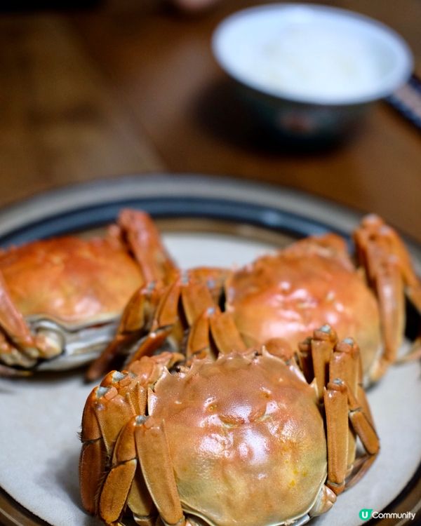 秋天食蟹🦀 正！😋