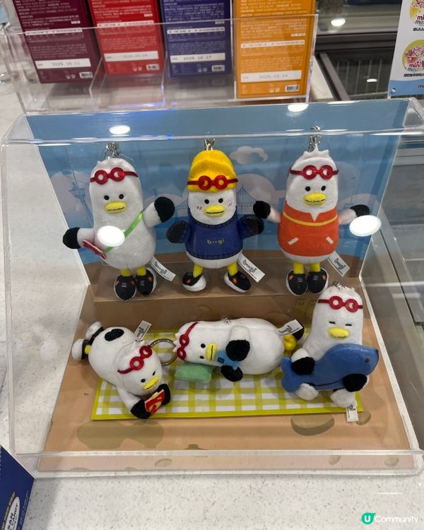 8日7夜首爾加釜山之旅